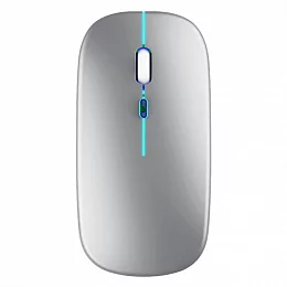 Беспроводная мышь Accesstyle M204-ORBAL Silver